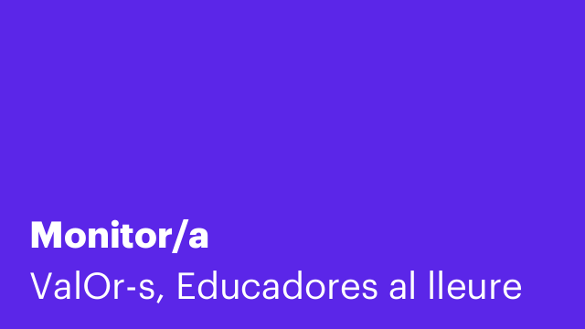 Monitor/a
