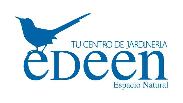 Ayudante de Camarero/a -Barista