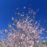 Karen N. avatar icon