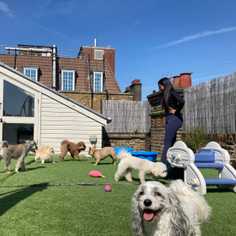 company photo