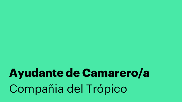 Ayudante de Camarero/a