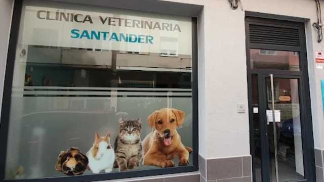 VETERINARIO GENERALISTA