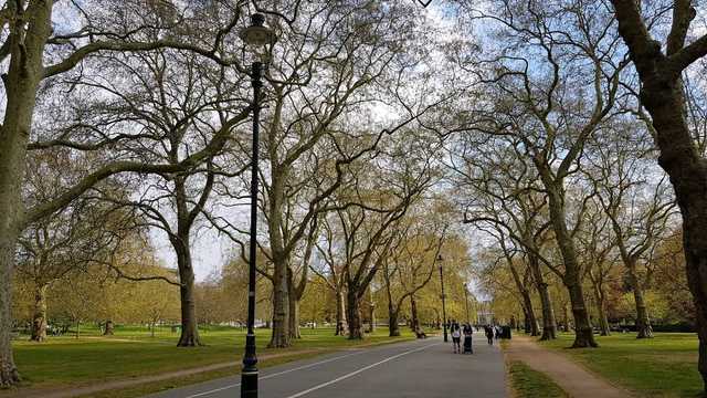 Customer Service Advisor