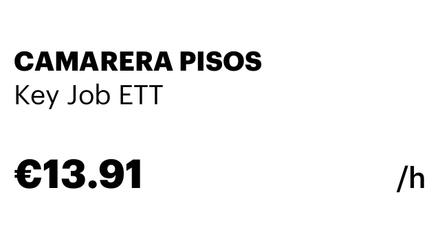 CAMARERA PISOS