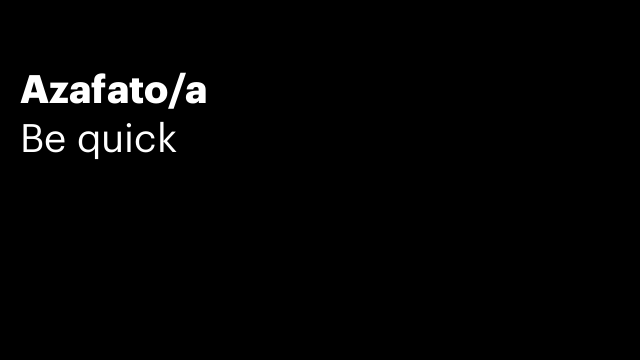 Azafato/a