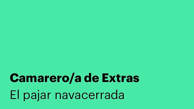 Camarero/a de Extras