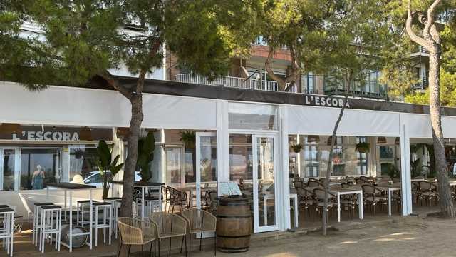 Camarero/a y ayudante de camarero/a