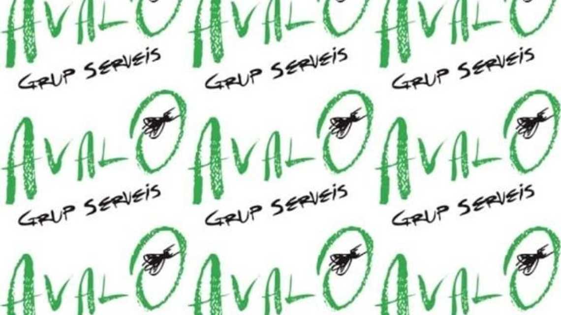 Avalo Grup Serveis cover image