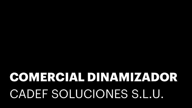 COMERCIAL DINAMIZADOR