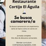 Cortijo A. avatar icon