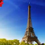 Keleen P. avatar icon