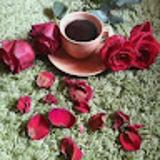 noran T. avatar icon