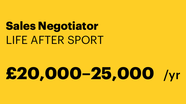 Sales Negotiator