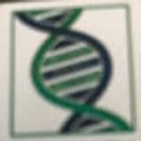 Saleem J. avatar icon