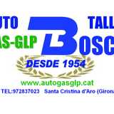 Auto Taller Emili Bosch               AUTOBOSCH logo