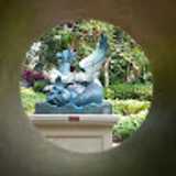 qinfen Y. avatar icon