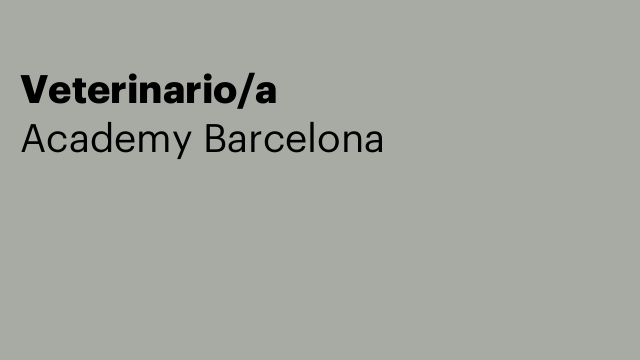 Veterinario/a
