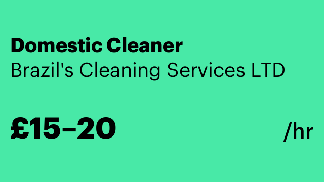 Domestic Cleaner