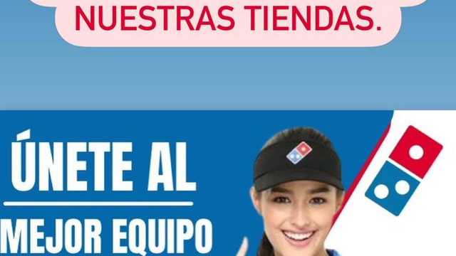Limpiador/a