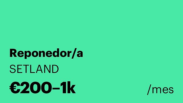 Reponedor/a