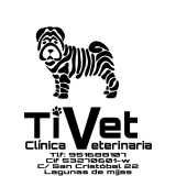 Marta D. avatar icon