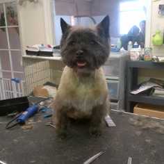 company photo