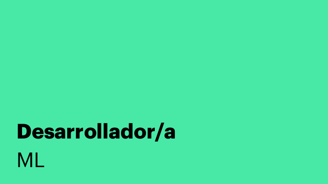 Desarrollador/a