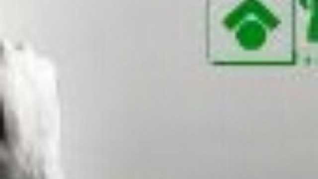 Auxiliar Administrativo/a