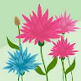 AE Pure  avatar icon