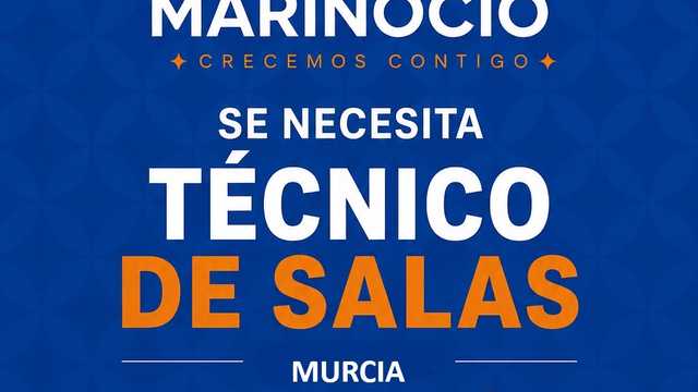 Técnico/a Máquinas Recreativas