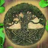 REALIDAD O. avatar icon