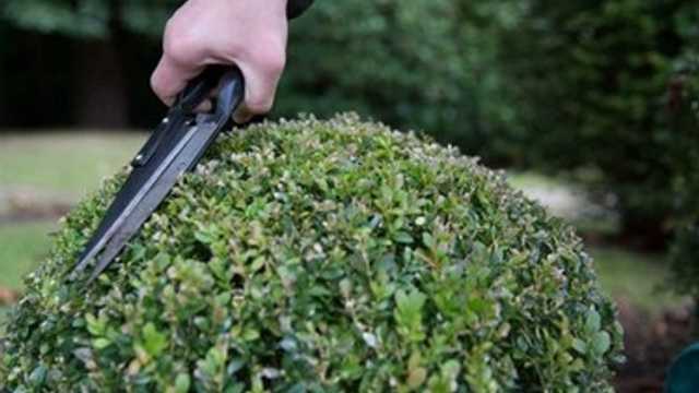 Gardener