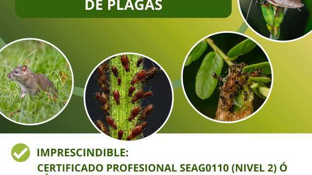 Técnico/a en Control de Plagas