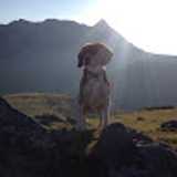 Joseba O. avatar icon