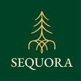 Sequora Ltd logo