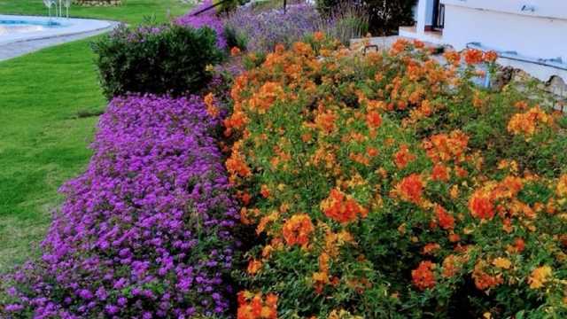 Jardinero/a