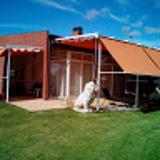 daniel E. avatar icon