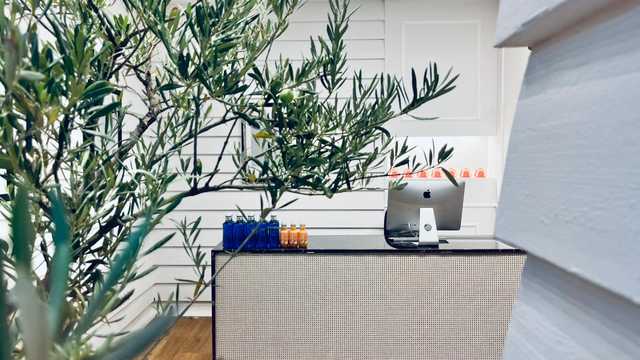 Creador de contenido