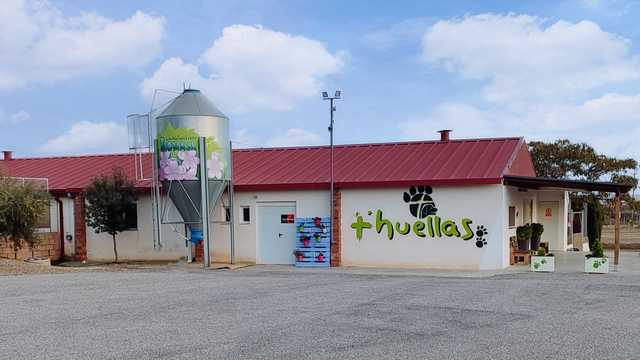 residencia canina y felina