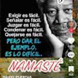 Alicia R. avatar icon