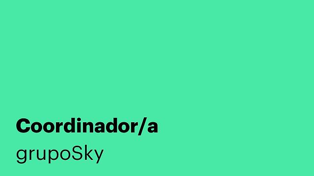 Coordinador/a