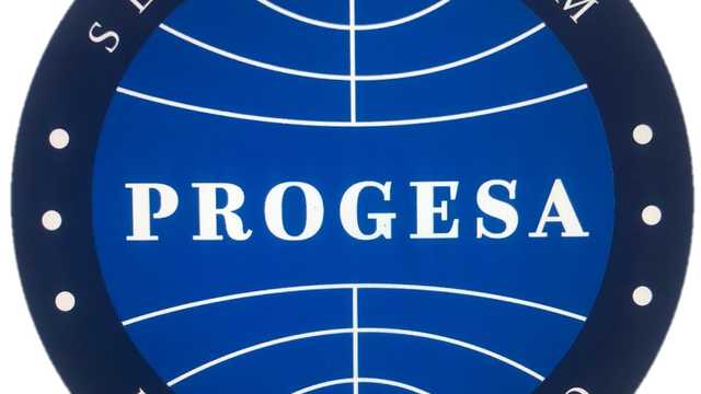 Vigilante de Seguridad