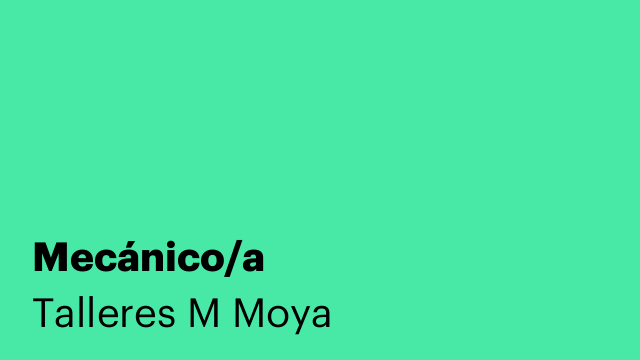 Mecánico/a