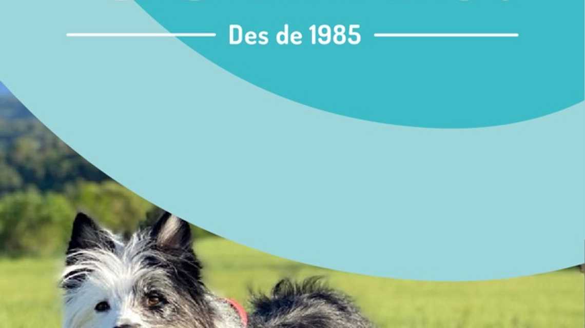 Comtu cover image