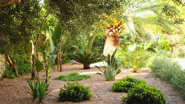 Jardinero/a