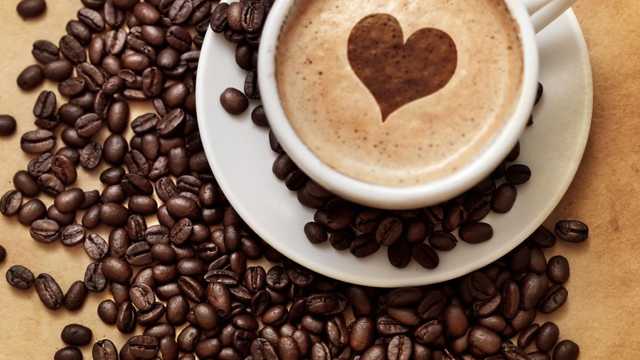 PROMOTOR DE CAFÉ MADRID