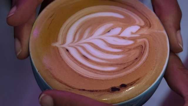 Barista