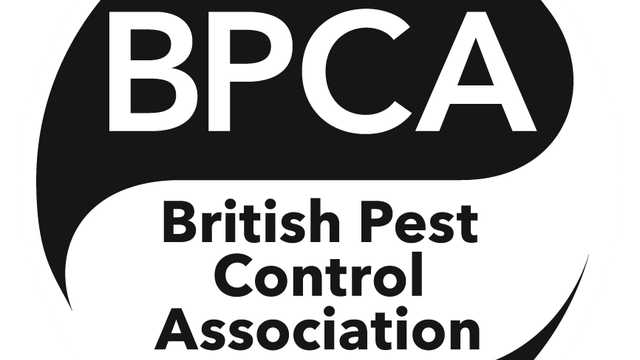 Pest control technician