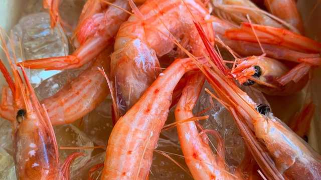 camarero/a en restaurante los fines de semana o entre semana