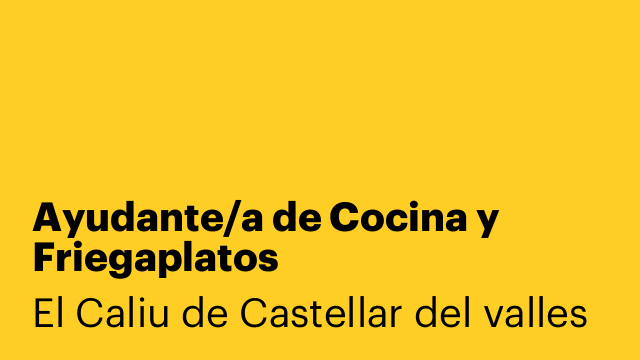 Ayudante/a de Cocina y Friegaplatos
